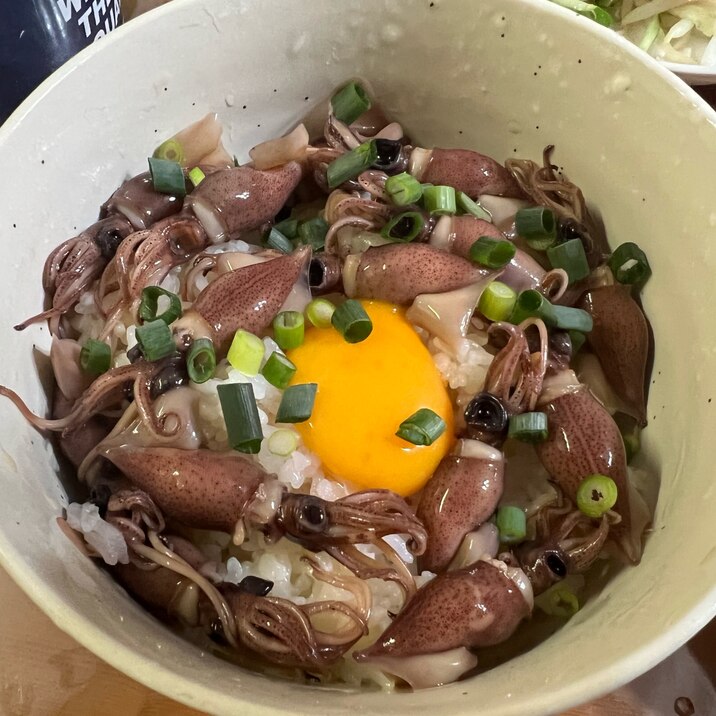 ホタルイカ丼